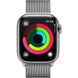 Apple Watch Series 9 41mm GPS + LTE Silver Stainless Steel with Silver Milanese Loop (MRJ43) MRJ43 фото 5