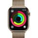 Apple Watch Series 9 45mm GPS + LTE Gold Stainless Steel with Gold Milanese Loop (MRMU3) MRMU3 фото 5