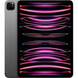 Apple iPad Pro 11 (2022) Wi-Fi + LTE 128GB Space Gray (MP553) MP553 фото 1