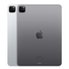 Apple iPad Pro 11 (2022) Wi-Fi 2TB Space Gray (MNXM3) MNXM3 фото 3