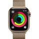 Apple Watch Series 9 41mm GPS + LTE Gold Stainless Steel with Gold Milanese Loop (MRJ73) MRJ73 фото 3